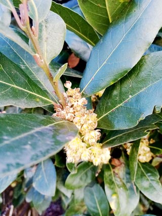 Naturopathe et psychomotricienne près de Tinténiac