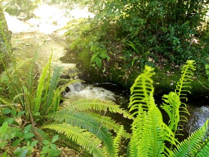 Geobiologue et psychomotricienne entre Tinténiac et Becherel